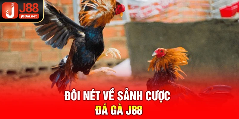 Đá Gà J88 - Sảnh Game Trực Tuyến Hàng Đầu Cho Kê Thủ Đôi nét về sảnh cược đá gà j88